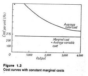 Cost curves with constant marginal costs