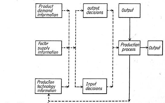 difference between managerial economics and economic theory