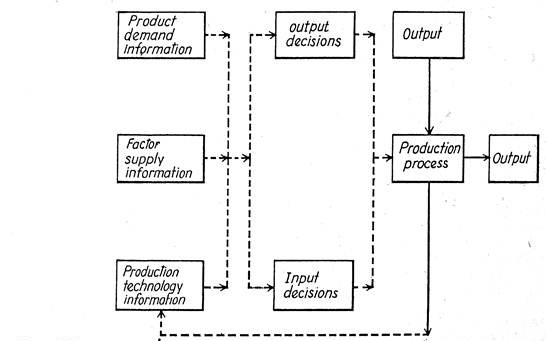 Flow chart of the decision process of a firm