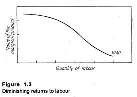Diminishing returns to labour