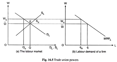 Trade Union Powers