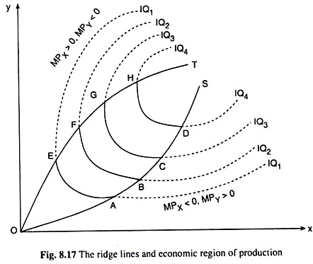 Ridge Lines and Economic Region of Production