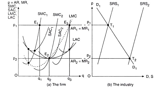 Firm and Industry