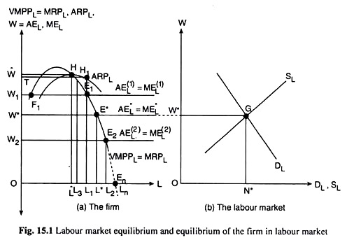 Labour Market Equilibrium and Equilibrium of the Firm in Labour Market