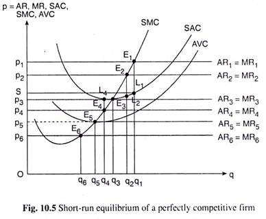 Short-Run Equilibrium of a Perfectly Competitive Firm