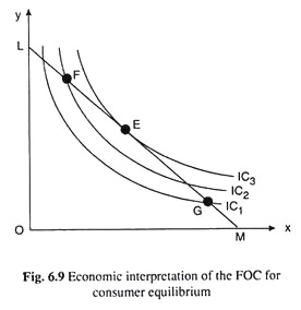 Economic Interpretation of the FOC