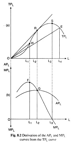 Derivation of the APL and MPL Curves from the TPL Curve