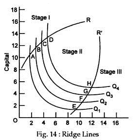 economic economics