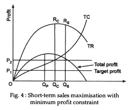 Short-term sales maximisation with minimum profit constraint 
