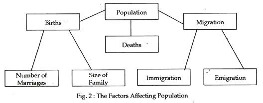 The factors affecting population