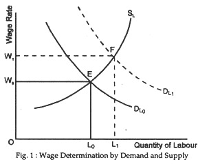 Wage Determination by Demand and Supply