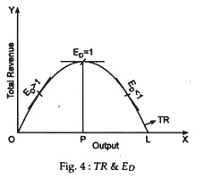 TR curve rises from zero 