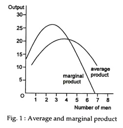 Average and marginal product