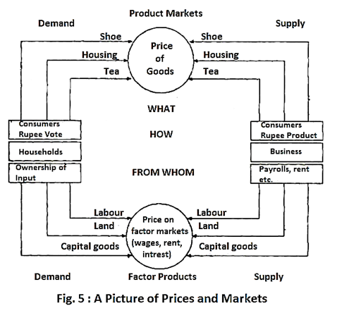 A Picture of Prices and Markets