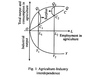 Agriculture-Industry interdependence