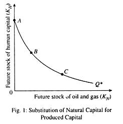 Substitution of Natural Capital for Produced Capital