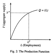 The Production Function