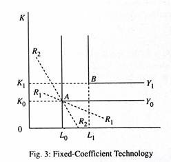 Fixed-Coefficient Technology