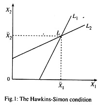 The Hawkins-Simon condition