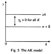 The AK model