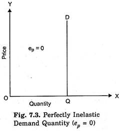 Perfectly Inelastic Demand Quantity