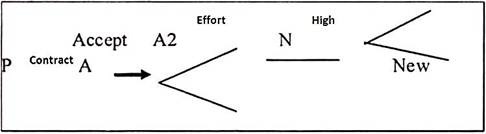 Moral Hazard with Hidden Actions