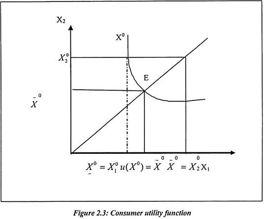 Consumer Utility Function