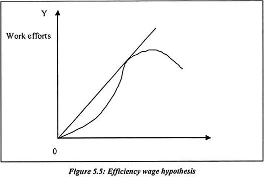 Efficiency Wage Hypothesis