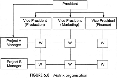 advantages of matrix organization